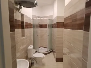 Pronájem bytu 1+1, Praha - Žižkov, Prokopova, 48 m2
