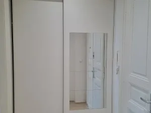 Pronájem bytu 1+1, Praha - Žižkov, Prokopova, 48 m2