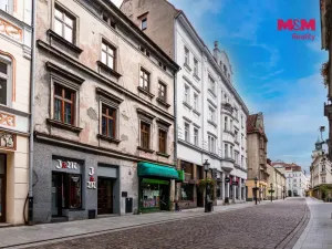 Prodej bytu 3+kk, Český Těšín, Havlíčkova, 114 m2