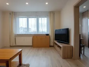 Pronájem bytu 2+1, Olomouc, Družební, 45 m2