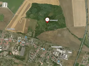 Prodej louky, Dobroměřice, 6348 m2