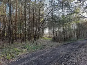 Prodej pozemku, Probulov, 3017 m2
