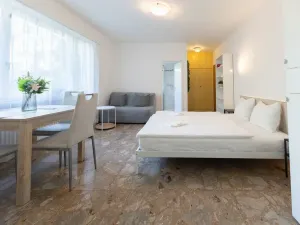 Pronájem bytu 1+1, Minusio, Švýcarsko, 30 m2