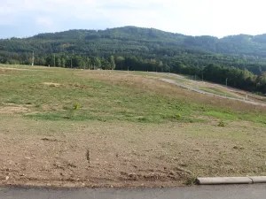 Prodej pozemku pro bydlení, Dalovice, Okrajová, 839 m2