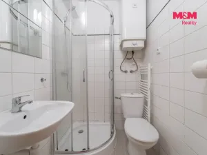 Prodej bytu 1+kk, Praha - Nusle, Krokova, 17 m2