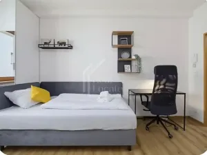 Pronájem pokoje, Praha - Žižkov, Seifertova, 25 m2