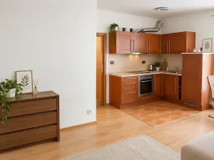 Pronájem bytu 1+kk, Praha - Smíchov, Plzeňská, 32 m2