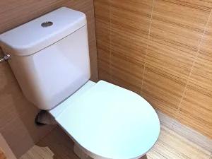 Pronájem bytu 1+kk, Hradec Králové, třída Edvarda Beneše, 29 m2