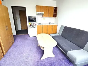 Pronájem bytu 1+kk, Písek, Dr. M. Horákové, 20 m2