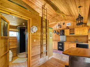 Prodej ubytování, Lhenice, 300 m2