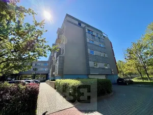 Prodej bytu 2+kk, Praha - Letňany, Kostomlatská, 45 m2