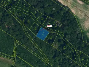 Dražba lesa, Hluboké Mašůvky, 504 m2