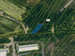 Dražba lesa, Horní Dunajovice, 245 m2