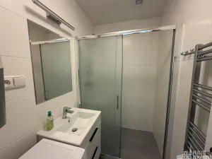 Pronájem bytu 1+1, Praha - Vinohrady, Řipská, 40 m2
