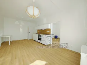 Pronájem bytu 2+kk, České Budějovice, 49 m2