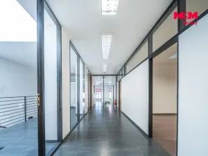 Pronájem kanceláře, Svitavy - Město, náměstí Míru, 206 m2