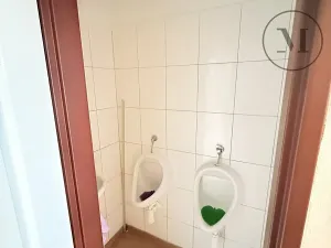 Prodej ubytování, Přední Výtoň, 423 m2