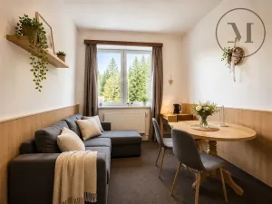 Prodej bytu 2+kk, Benešov nad Černou, 36 m2