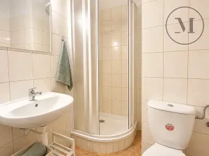 Prodej bytu 2+kk, Benešov nad Černou, 36 m2