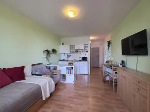 Pronájem bytu 1+kk, Brno, Opálkova, 26 m2