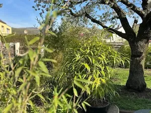 Prodej rodinného domu, Hrob, 80 m2