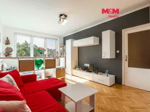 Prodej bytu 1+1, Ostrava - Výškovice, Srbská, 39 m2