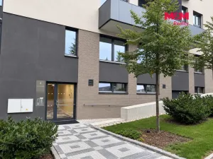Pronájem bytu 3+kk, Praha - Žižkov, U Viktorie, 70 m2
