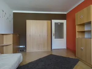 Pronájem bytu 1+1, Brno, Slatinská, 48 m2