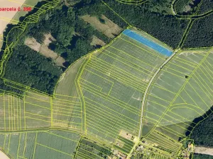 Prodej pole, Karlovice, 13069 m2
