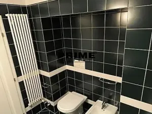 Pronájem bytu 3+1, Praha - Smíchov, Hořejší nábřeží, 94 m2