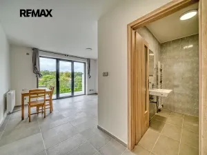 Pronájem bytu 1+kk, Velký Osek, Revoluční, 23 m2