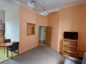 Pronájem bytu 2+kk, Karlovy Vary - Rybáře, Sokolovská, 60 m2