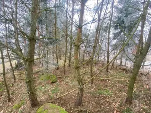 Prodej pole, Slatina, 13059 m2