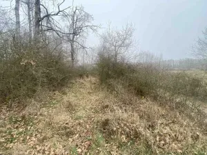 Prodej pole, Slatina, 13059 m2