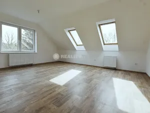 Pronájem bytu 3+kk, Milejovice, 100 m2