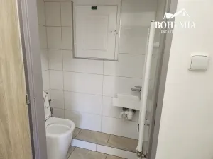 Prodej bytu 4+1, Teplice, U Hadích lázní, 105 m2