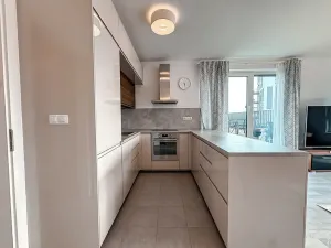 Pronájem bytu 3+kk, Praha - Žižkov, Olgy Havlové, 110 m2