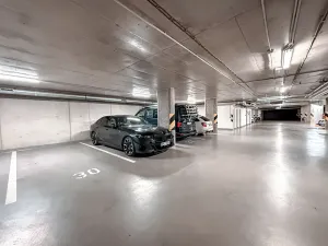 Pronájem bytu 3+kk, Praha - Žižkov, Olgy Havlové, 110 m2