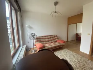 Pronájem bytu 1+kk, Praha - Žižkov, Budovcova, 30 m2