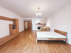 Pronájem bytu 1+kk, Praha - Žižkov, Malešická, 53 m2