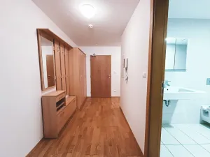 Pronájem bytu 1+kk, Praha - Žižkov, Malešická, 53 m2