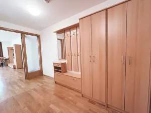 Pronájem bytu 1+kk, Praha - Žižkov, Malešická, 53 m2