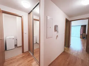 Pronájem bytu 1+kk, Praha - Žižkov, Malešická, 53 m2