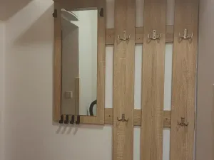 Prodej bytu 2+1, Svitavy, Mánesova, 54 m2