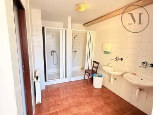 Pronájem výrobních prostor, Netolice, Mírové Náměstí, 500 m2