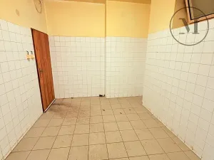 Pronájem výrobních prostor, Netolice, Mírové Náměstí, 500 m2