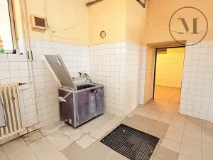 Pronájem výrobních prostor, Netolice, Mírové Náměstí, 500 m2