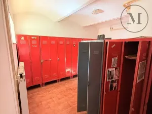 Pronájem výrobních prostor, Netolice, Mírové Náměstí, 500 m2