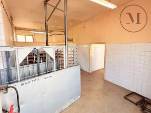 Pronájem komerční nemovitosti, Netolice, Mírové Náměstí, 500 m2