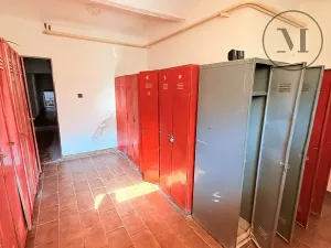 Pronájem komerční nemovitosti, Netolice, Mírové Náměstí, 500 m2
